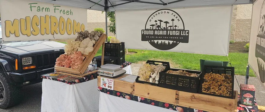 The Found Again Fungi market booth under a white canopy, with crates of fresh mushrooms laid out on the table