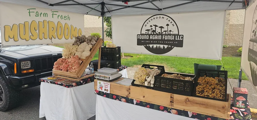 The Found Again Fungi market booth under a white canopy, with crates of fresh mushrooms laid out on the table